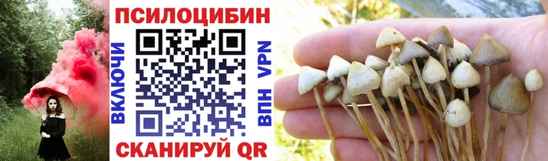 Галлюциногенные грибы Magic Shrooms  закладки  Первомайск 